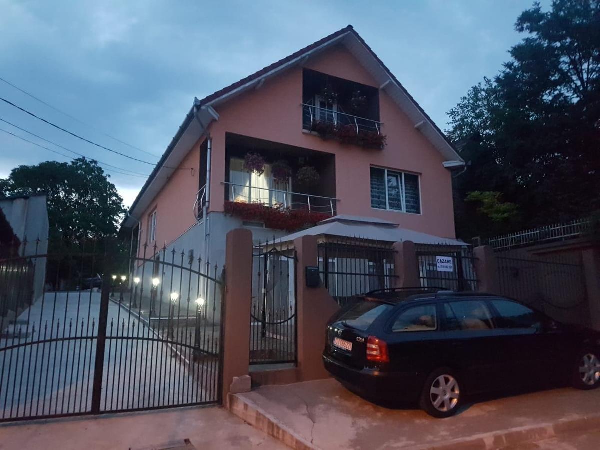 Casa Riana Apartment Turda Exterior foto